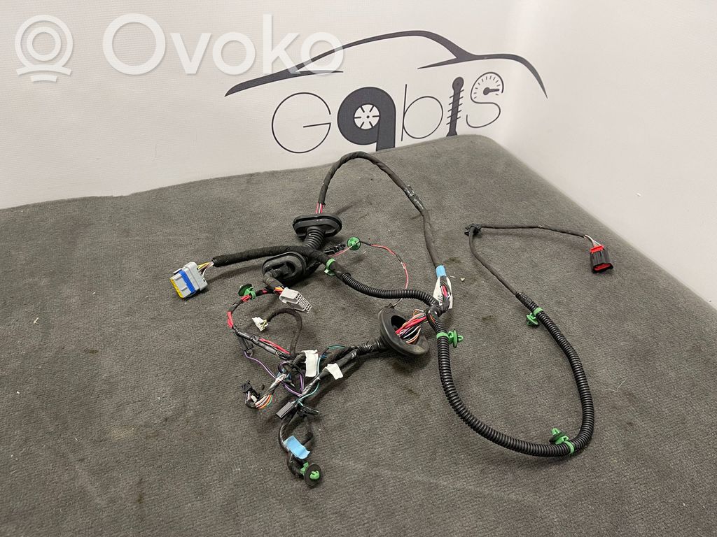 Tesla Model S Cableado de puerta trasera 
