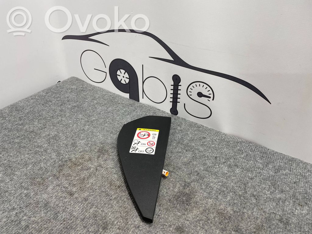 Tesla Model S Panelės apdailos skydas (šoninis) 