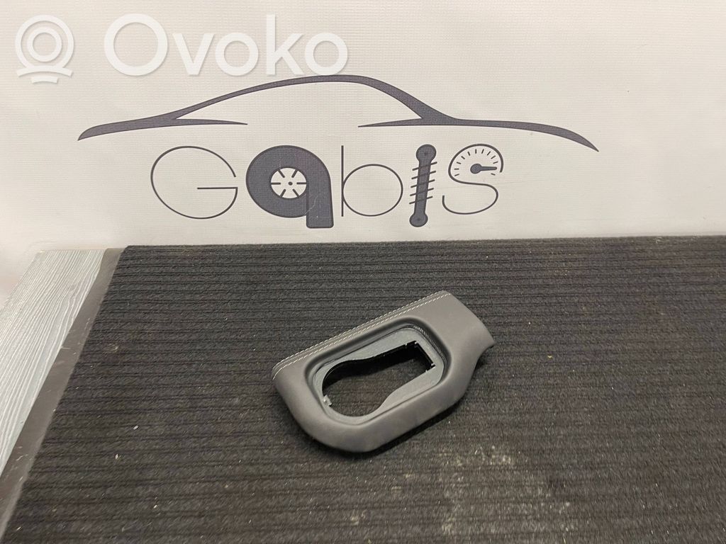 Dodge RAM Panel trim 