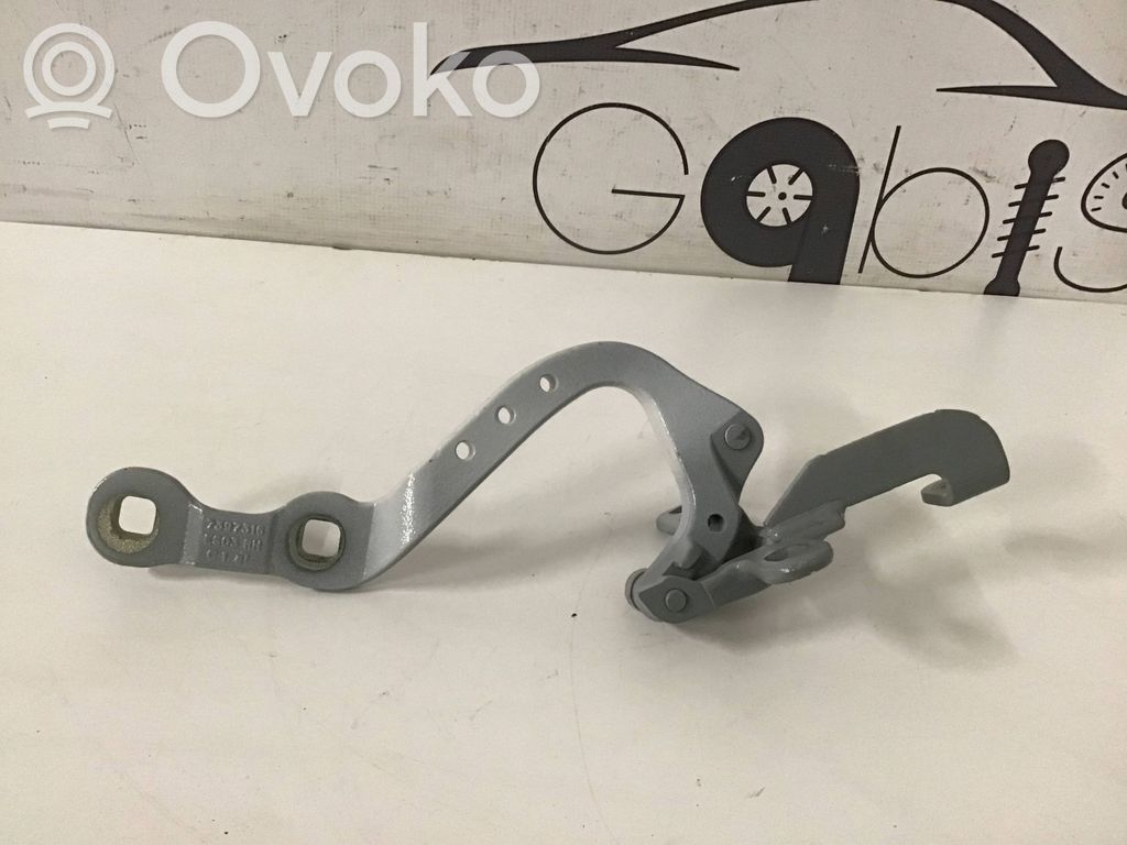 BMW X3 G01 Tailgate/trunk/boot hinge 