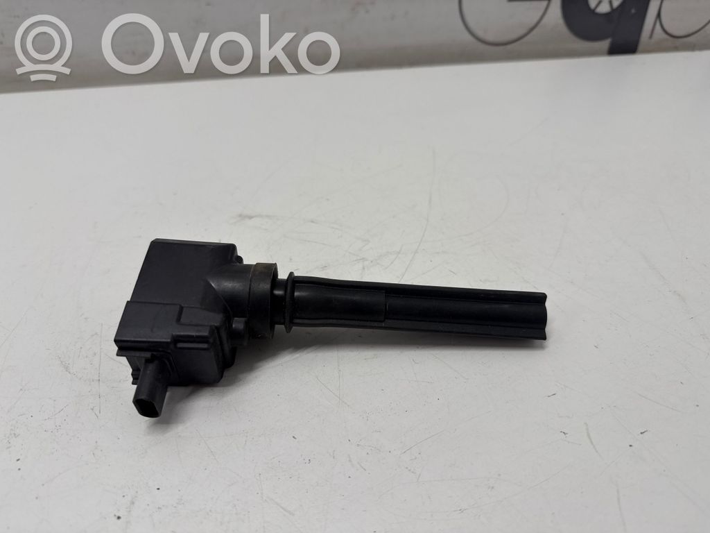 Ford F150 Aukštos įtampos ritė "babyna" 