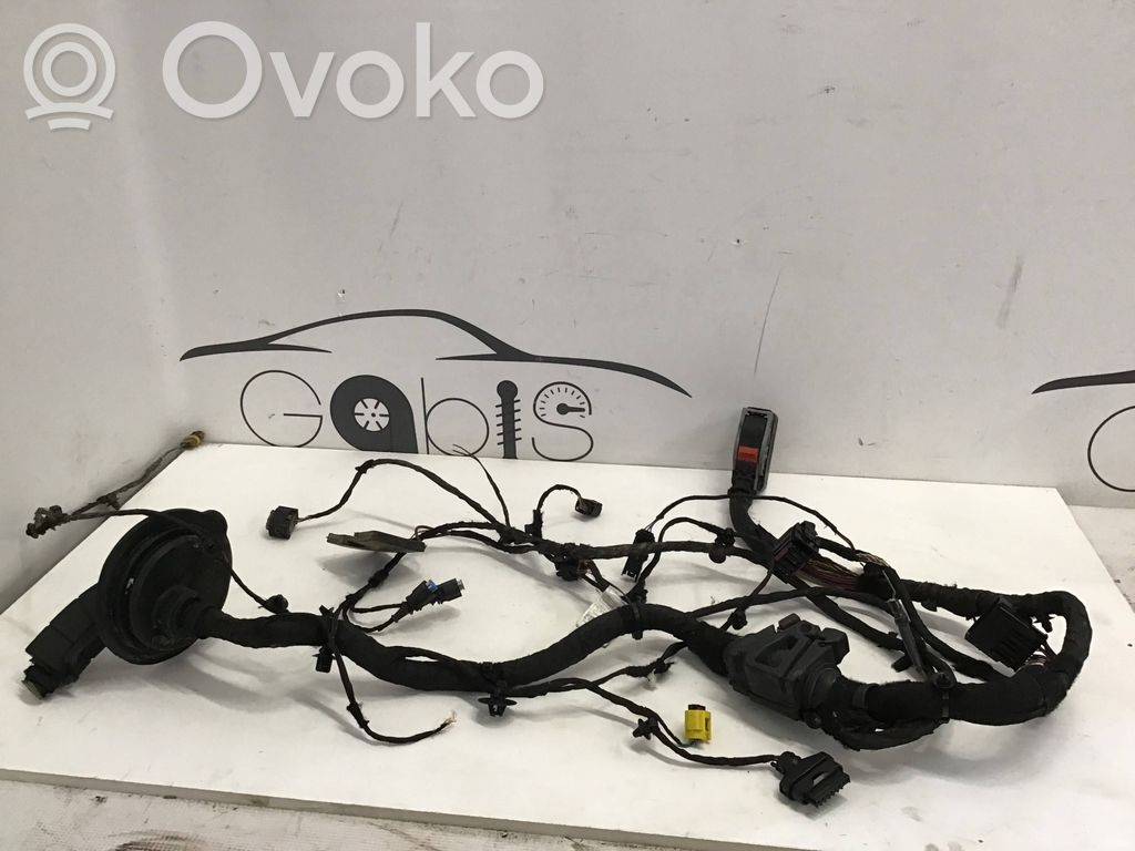 BMW X3 G01 Otros cableados 