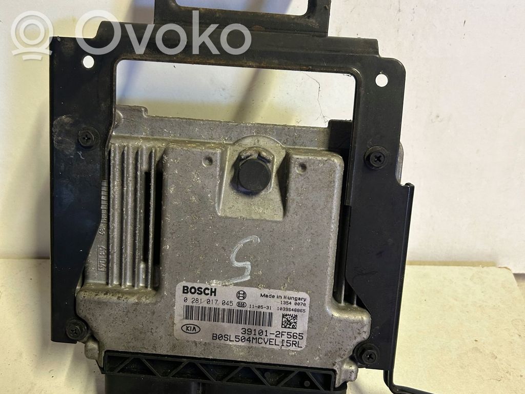Engine control unit/module   2F565,39101,391012F565