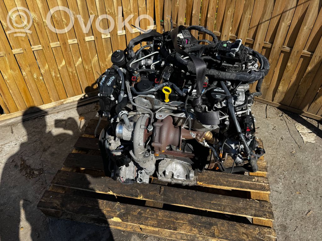 Variklis   B20DTH