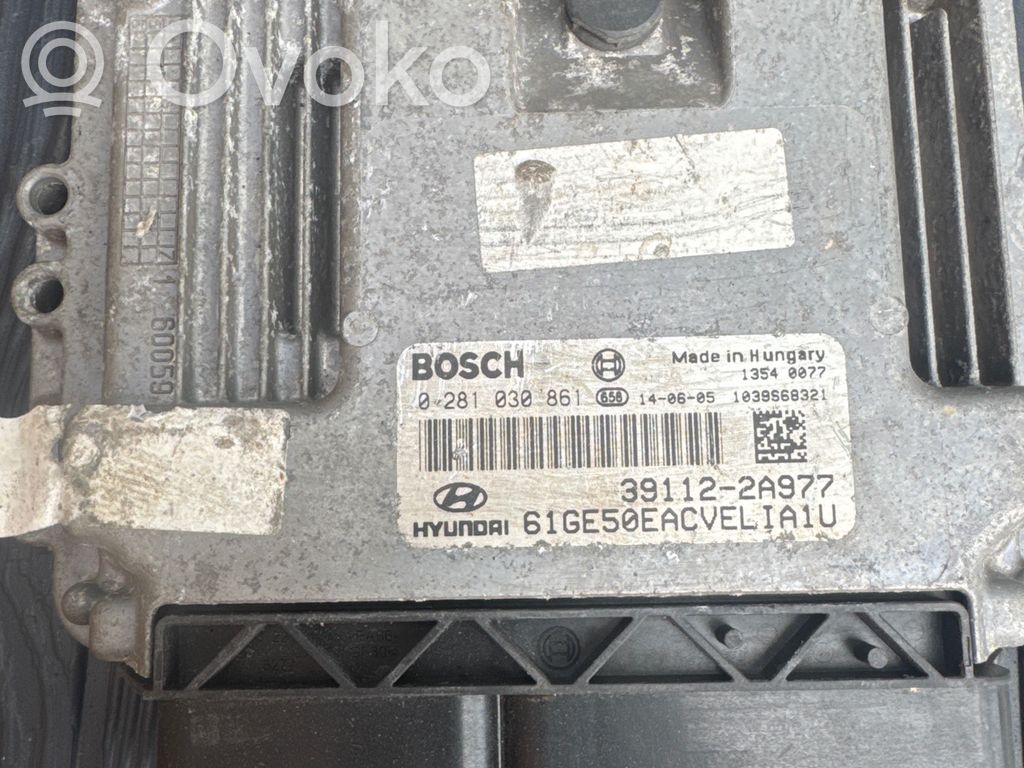Engine control unit/module   391122A977,0281030861