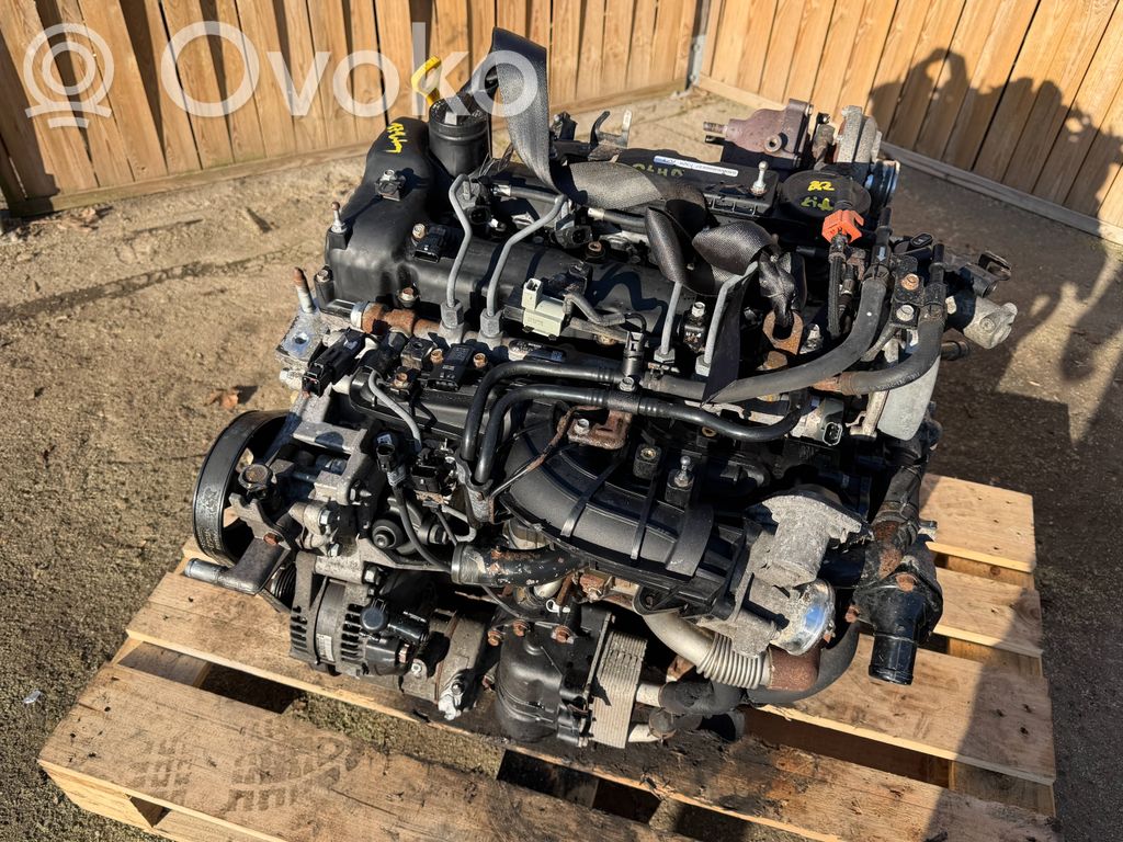 Variklis   D4HB