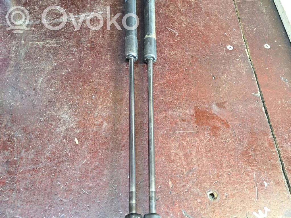 Ford Fiesta Tailgate/trunk strut/damper 