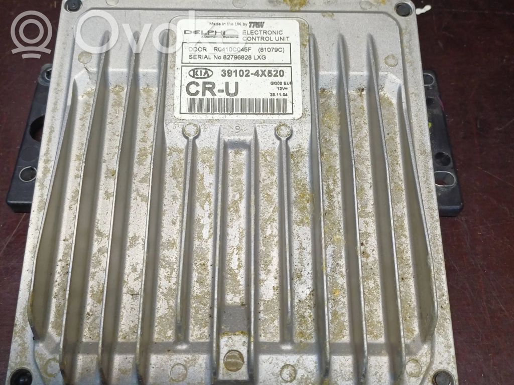 KIA Carnival Engine control unit/module 