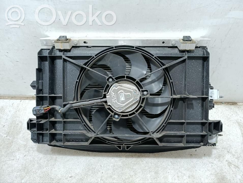 Tesla Model 3 Radiatorių komplektas 