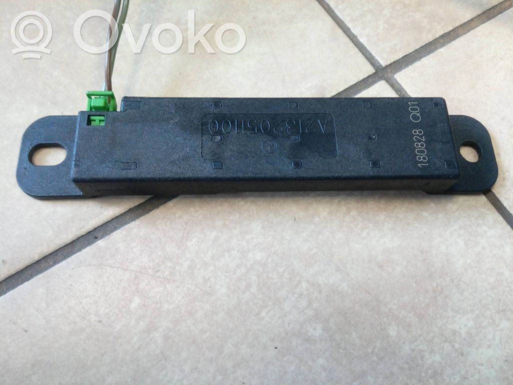 Mercedes-Benz E W213 Interjero komforto antena 