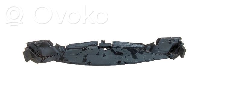Placa protectora/protector antisalpicaduras motor   1668336080,1668336080,1668336080