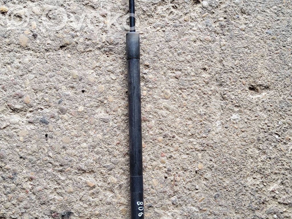 Dodge Durango Tailgate/trunk strut/damper 