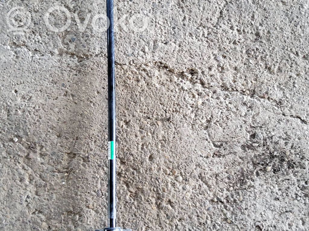 Dodge Challenger Tylny stabilizator / drążek 