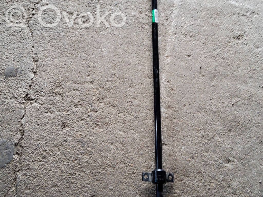 Dodge Challenger Tylny stabilizator / drążek 