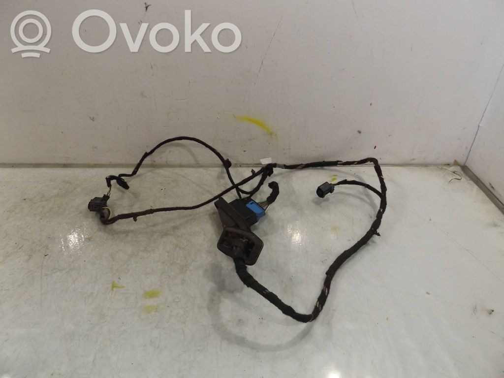 Cableado de puerta trasera   6913084
