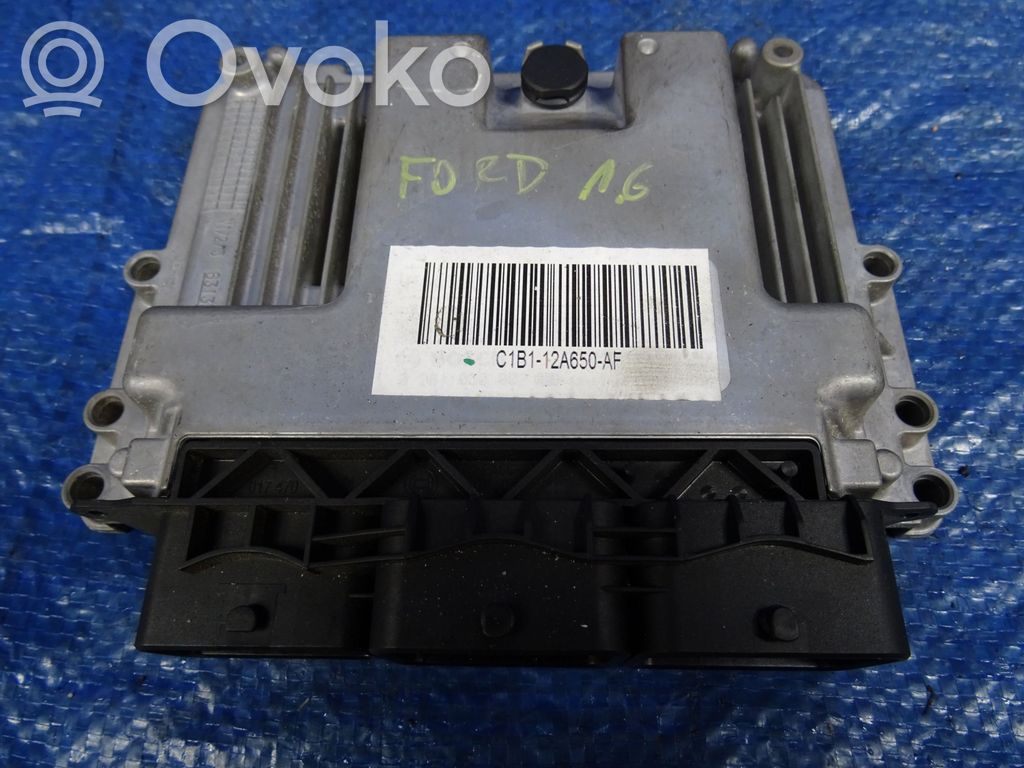 Ford Fiesta Other control units/modules 