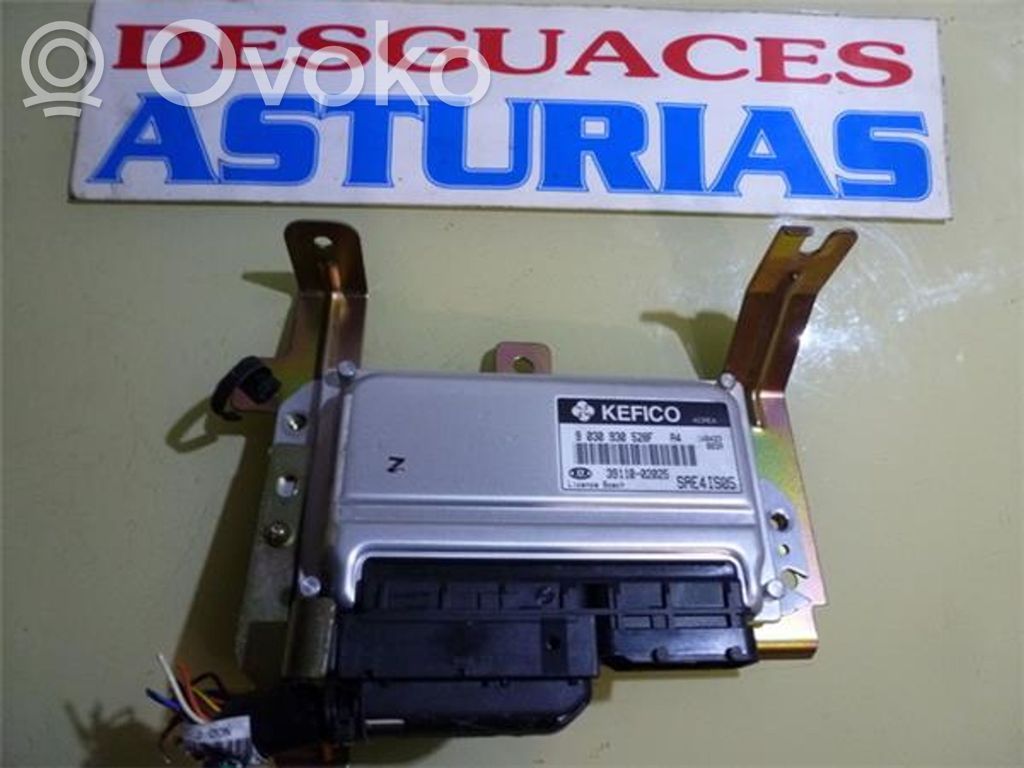 Engine control unit/module ECU   9030930528F