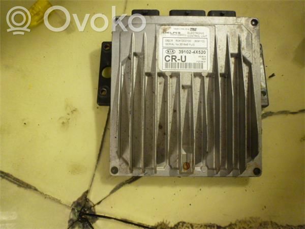 KIA Carnival Komputer / Sterownik ECU silnika 