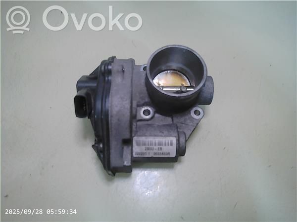 Throttle valve   2S6UEB