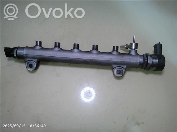Rampa inyectora   445214111