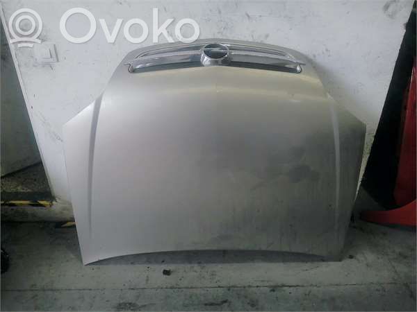 Dzinēja pārsegs (vāks)   93184795