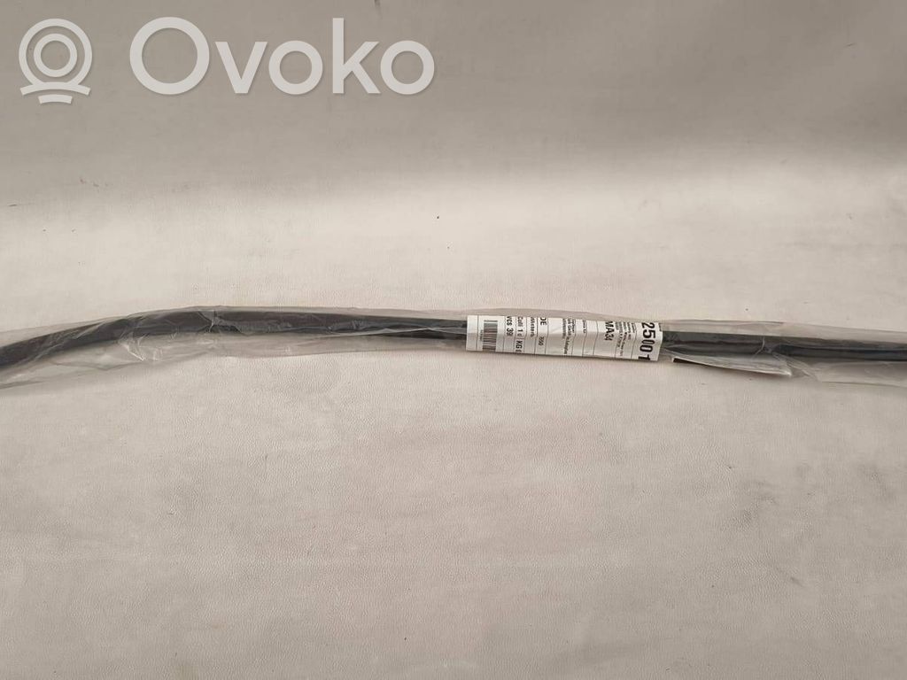 Ford Grand C-MAX Windshield trim 