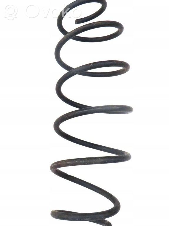 Muelle espiral trasero