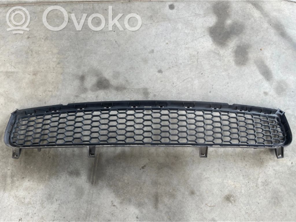 BMW X5 E70 Front bumper lower grill 