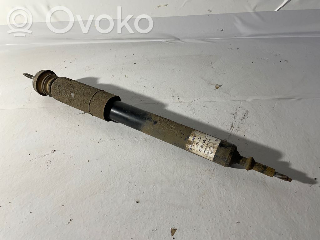 BMW 3 E92 E93 Stoßdämpfer hinten 