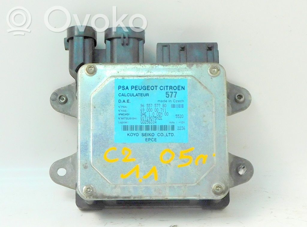 Engine control unit/module ECU   9655755780,193334