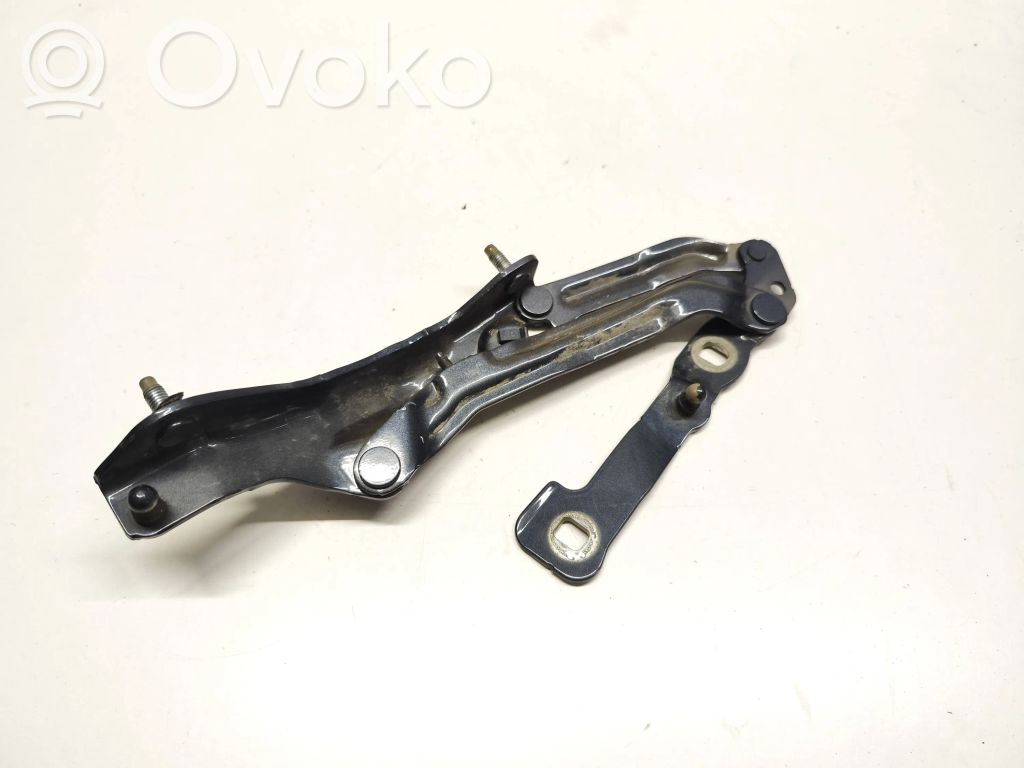 Tesla Model 3 Tailgate/trunk/boot hinge 