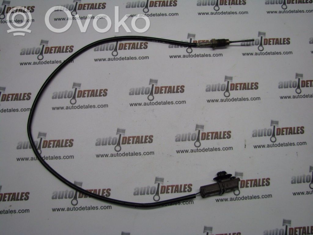 Peugeot 407 Exhaust gas temperature sensor 