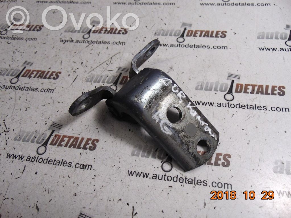 Rear door lower hinge