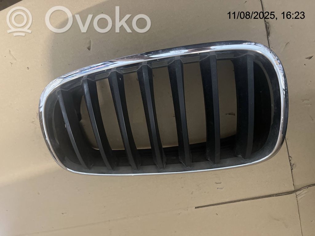 BMW X5 E70 Front grill 