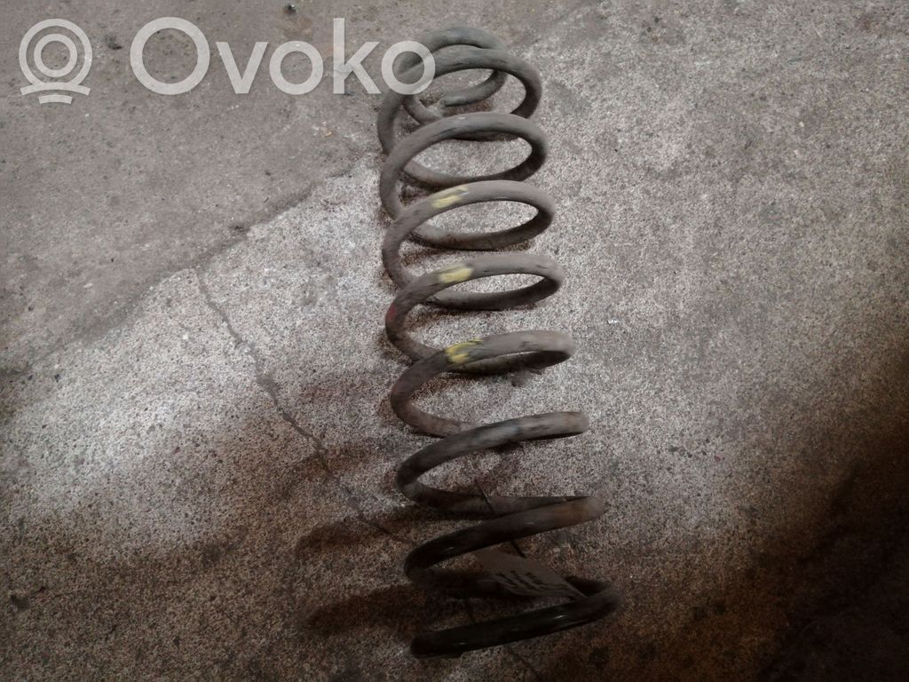 Rear coil spring