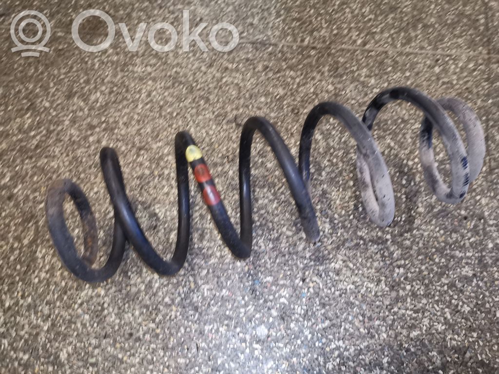 Rear coil spring