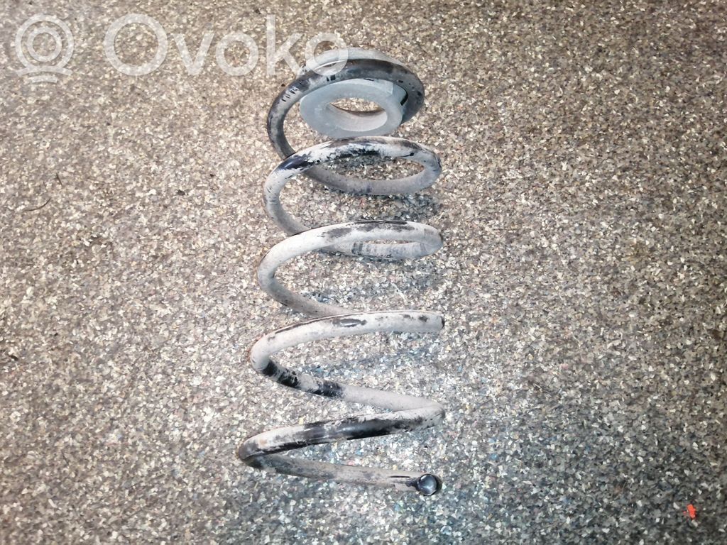 Rear coil spring