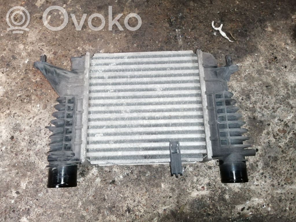 Renault Clio III Intercooler radiator 