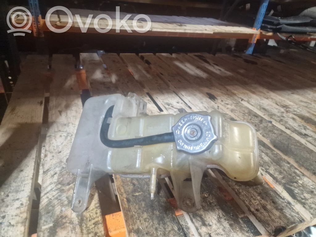 Zbiornik wyrównawczy chłodziwa   98116897,55116897AA