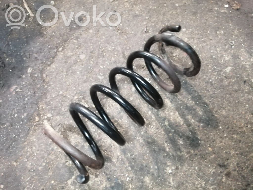 Rear coil spring