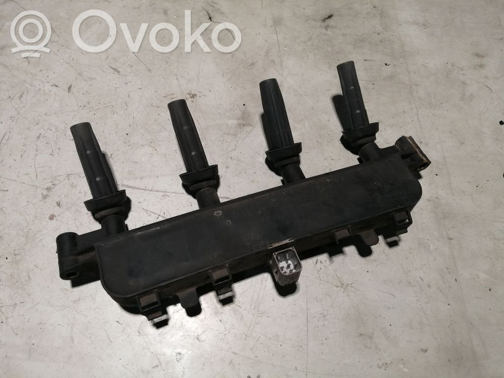 Peugeot 206 Aukštos įtampos ritė "babyna" 