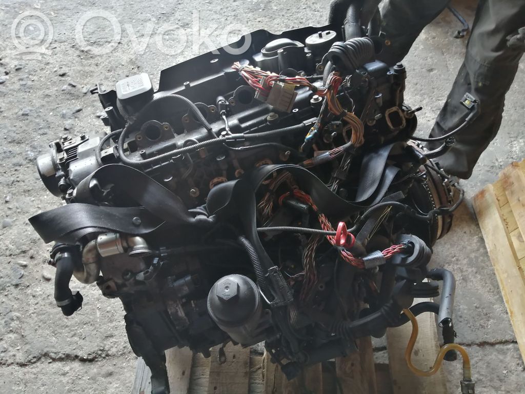 Engine   256D2
