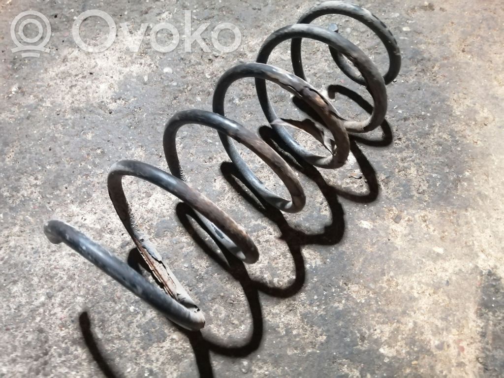 Front coil spring