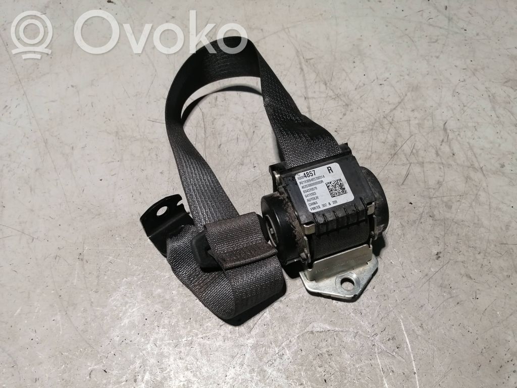 Cinturón trasero   60004857
