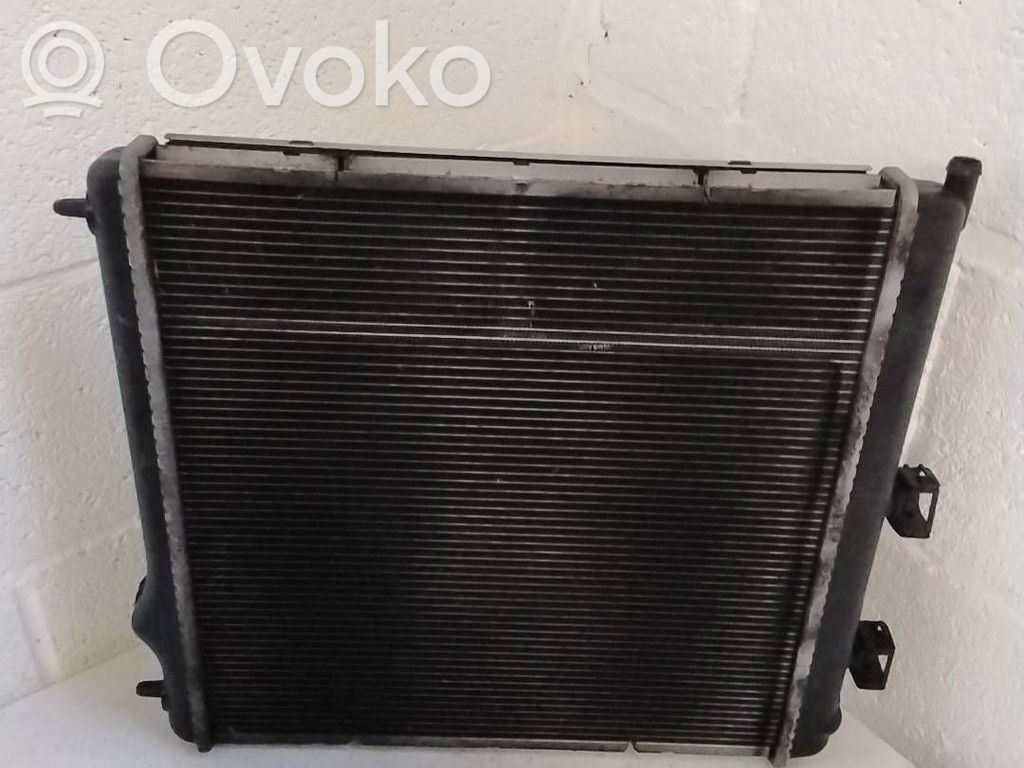 Radiator set   10120096,000098028,AO1264M143131