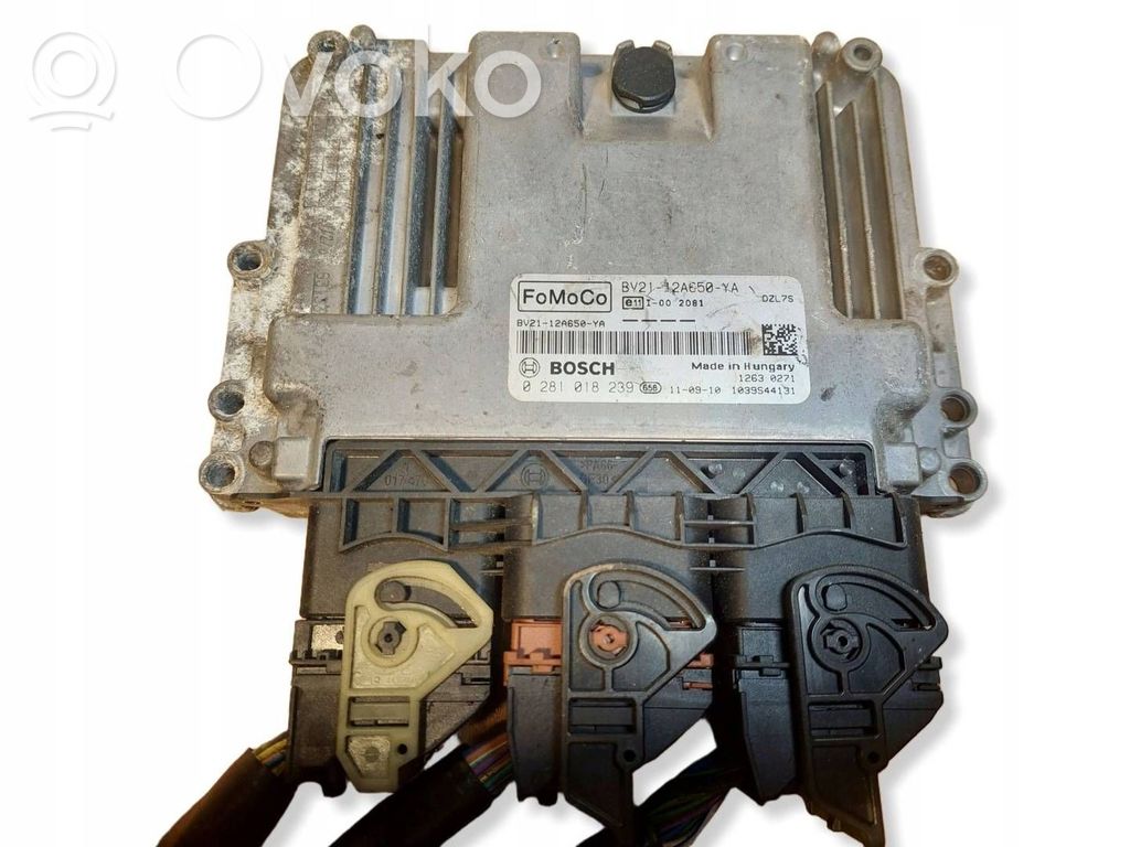 Engine control unit/module ECU   0281018239,BV2112A650YA