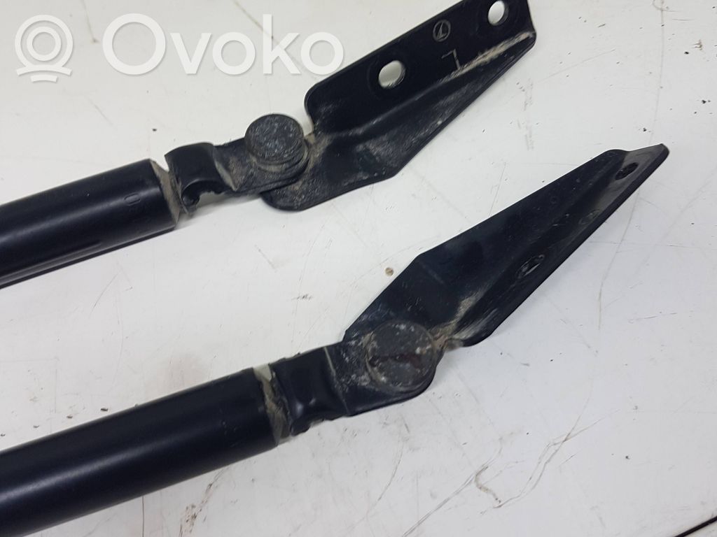Tailgate/trunk strut/damper
