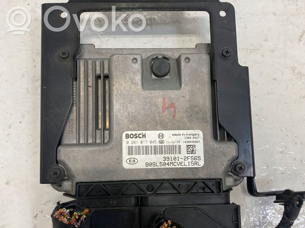 KIA Sportage Engine control unit/module 