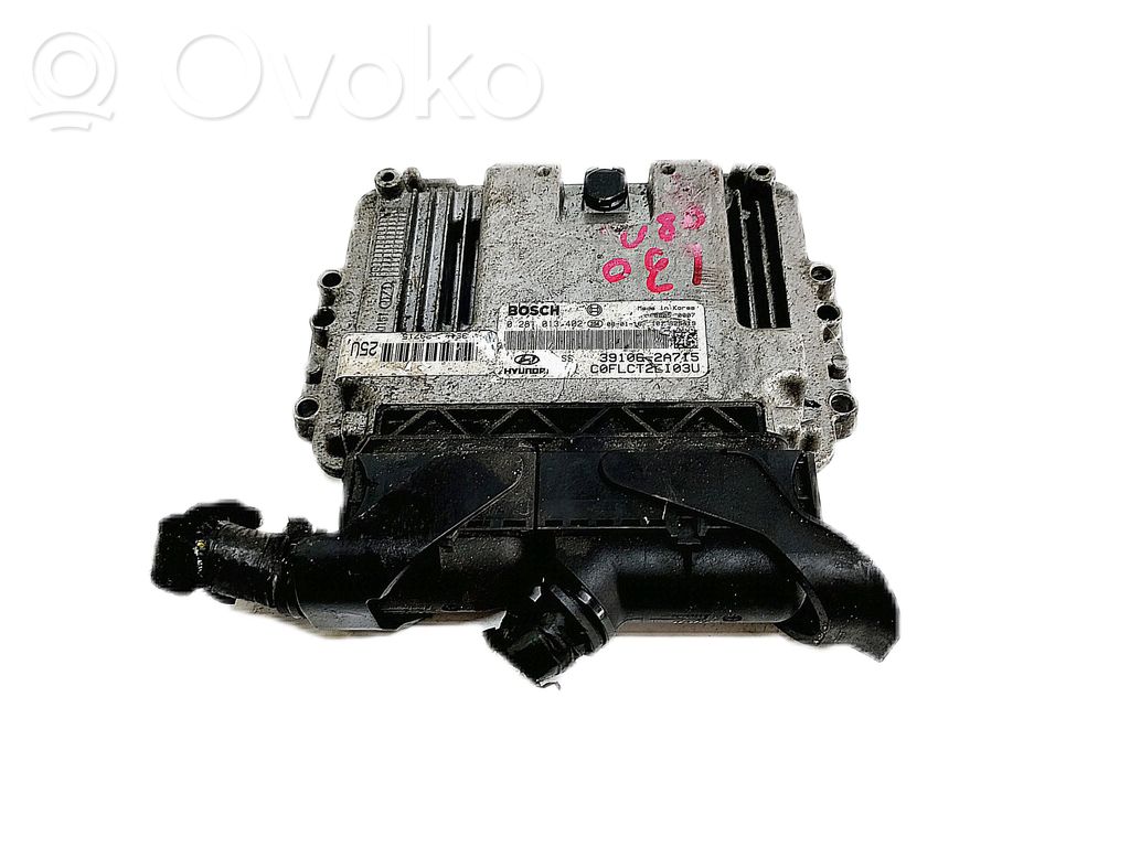 Engine control unit/module ECU   391062A715