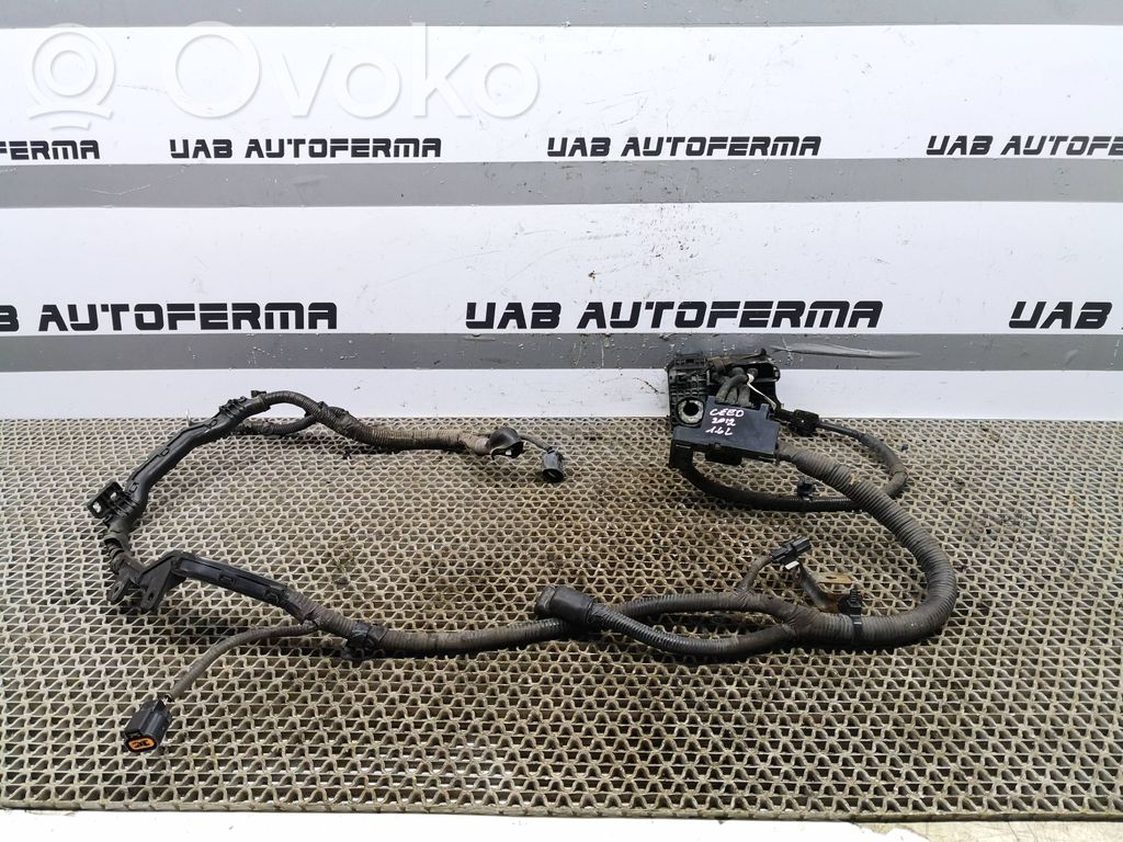 KIA Ceed Pliusinis laidas (akumuliatoriaus) 